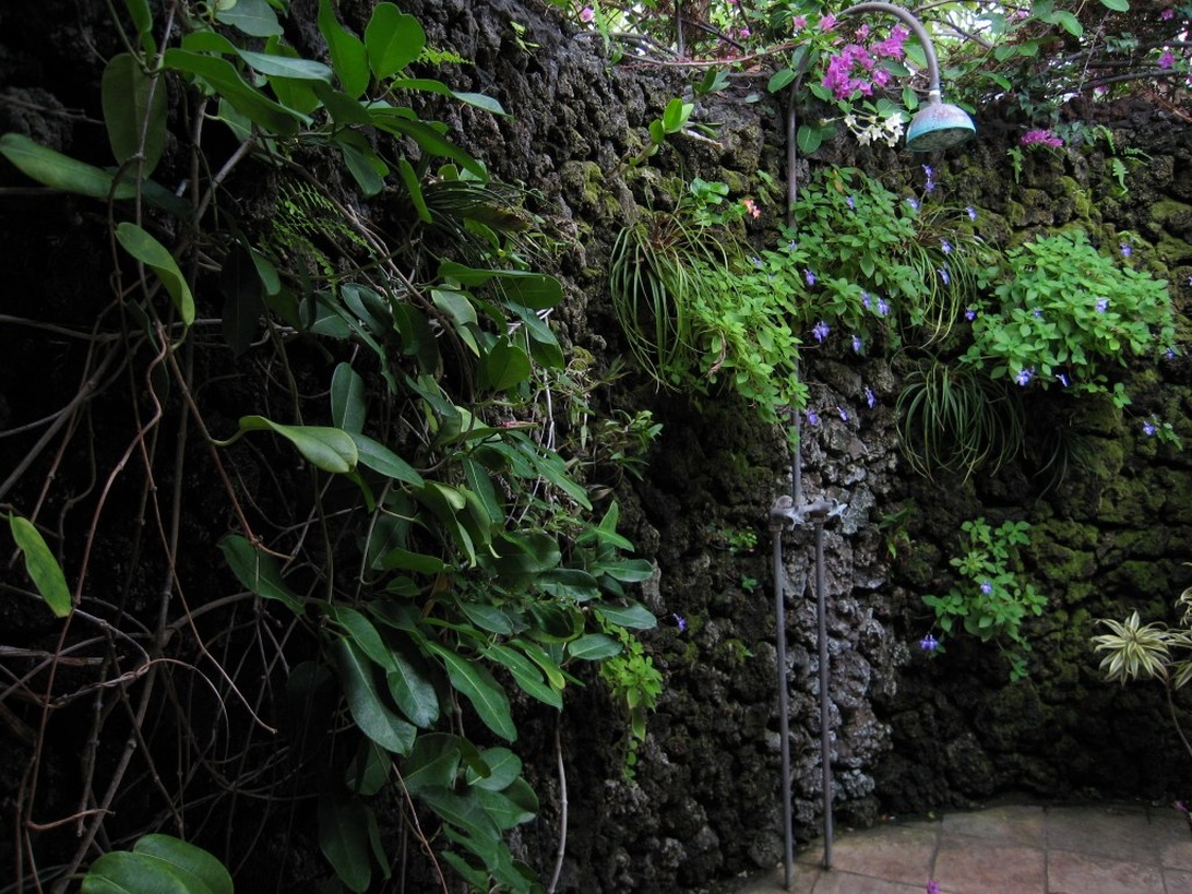Een buitendouche gemonteerd op een met mos bedekte stenen muur, omringd door tropische planten.